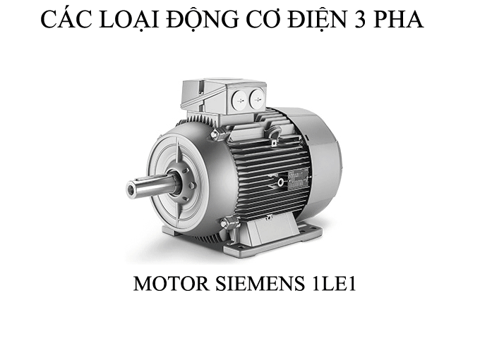 Động cơ điện 3 pha – motor điện Siemens xoay chiều 3 pha